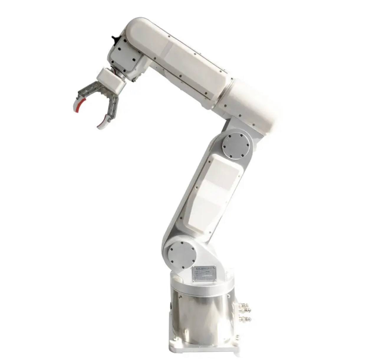 Customizable AI-Enhanced 6-Axis Robotic Arm