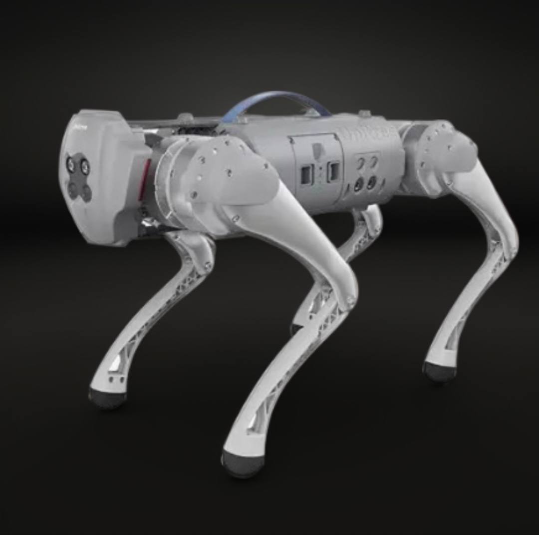 Robot Dog AI