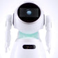 Custom AI Humanoid Service Robot