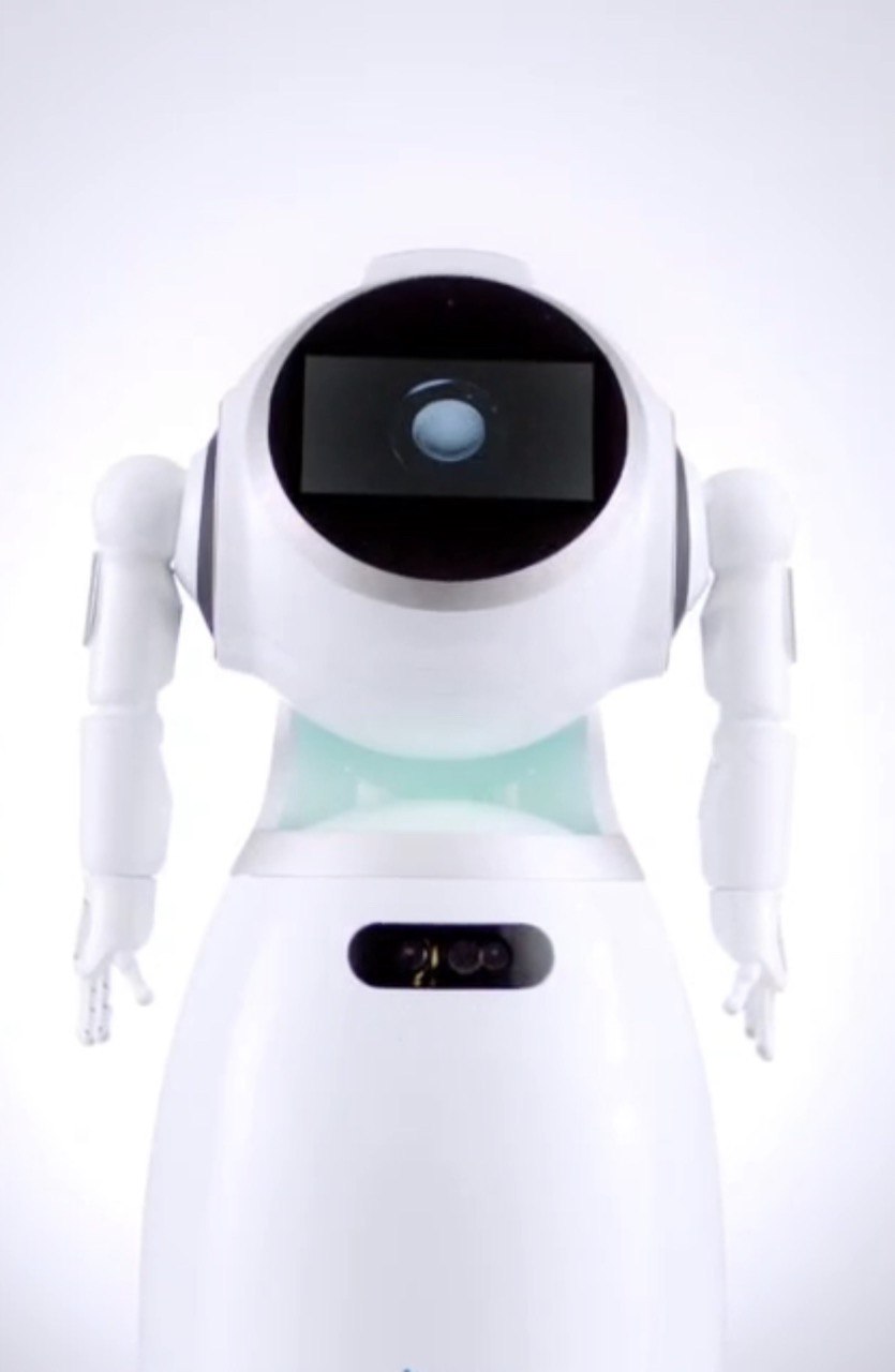 Custom AI Humanoid Service Robot